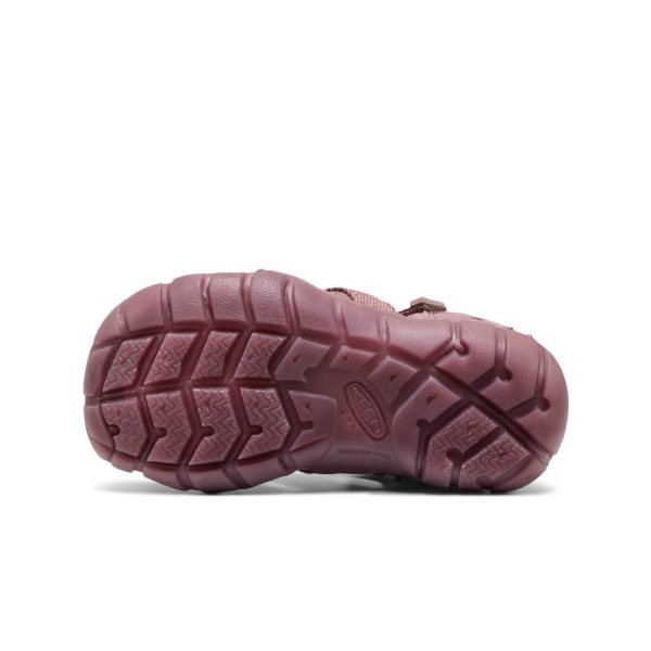 Little Kids' Seacamp II CNX namuk Sandal | Mauve