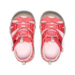 Toddlers' Seacamp II CNX | Dubarry/Giggle Pink