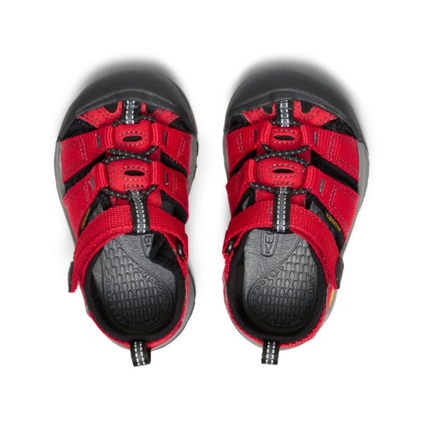 Toddlers' Newport H2  |  Ribbon Red/Gargoyle