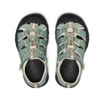 Big Kids' Newport H2 | Lily Pad/Black