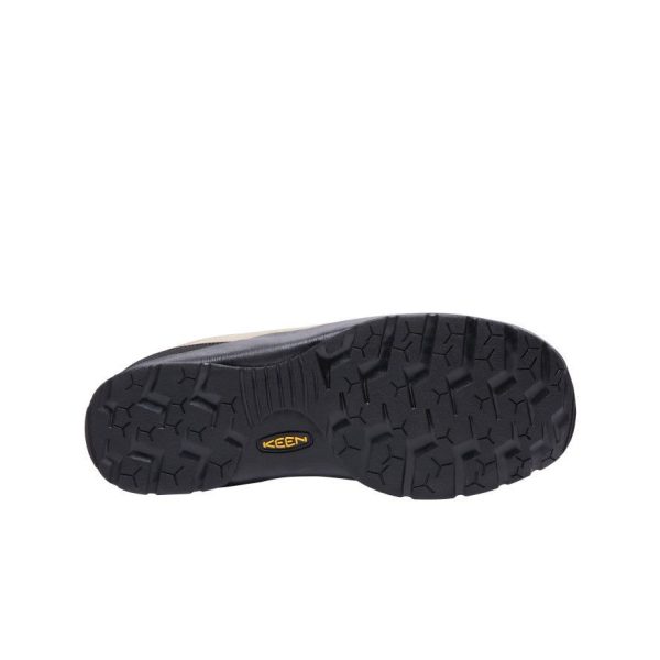Men's Jasper Sneaker  |  Silver Mink