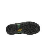 Men's Pittsburgh Energy 6 Waterproof Boot (Carbon Toe)  |  Cascade Brown/Greener Pastures