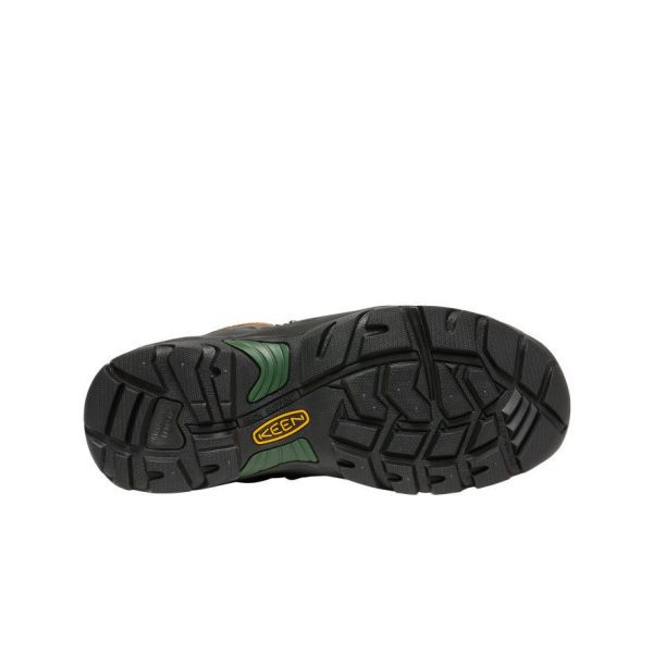Men's Pittsburgh Energy 6 Waterproof Boot (Carbon Toe)  |  Cascade Brown/Greener Pastures