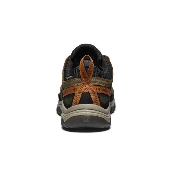 Men's Targhee IV Waterproof Hiking Shoe | Sea Turtle/Roasted Pecan