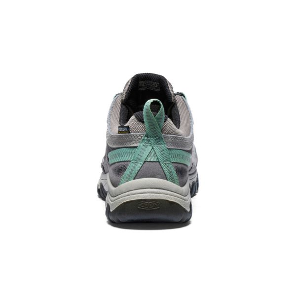 Women's Targhee IV Wide Waterproof Hiking Shoe | Alloy/Granite Green
