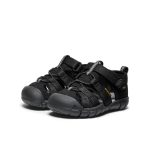Toddlers' Seacamp II CNX | Black/Grey