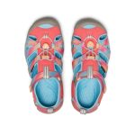 Big Kids' Seacamp II CNX  |  Ombre Pink Lemonade