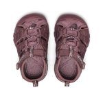 Toddlers' Seacamp II CNX namuk Sandal | Mauve