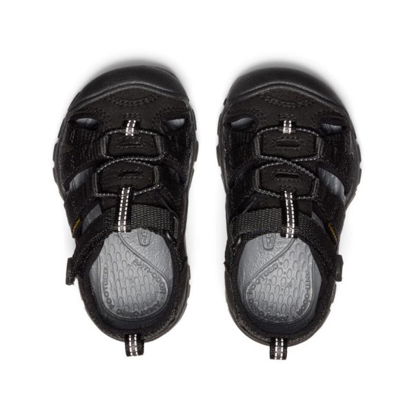 Toddlers' Seacamp II CNX | Black/Grey