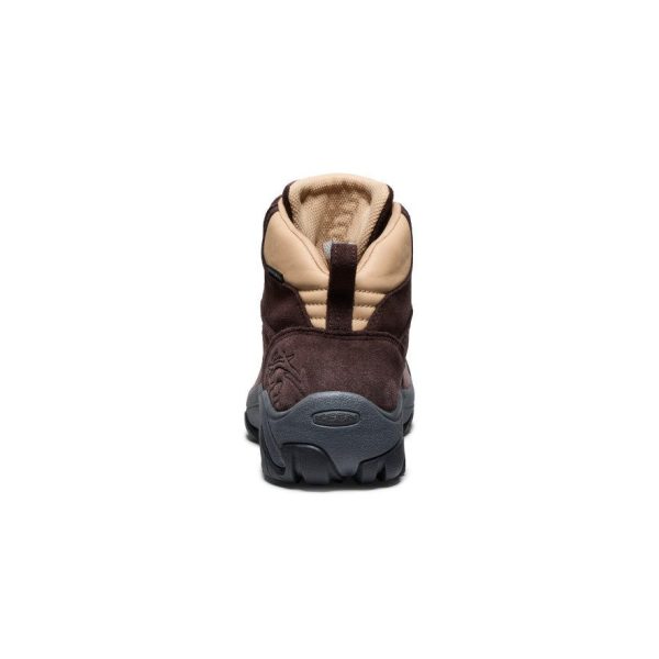Men's Pyrenees Waterproof Hiking Boot x Mountain Research | Mountain Research Brown