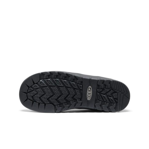 Women's Jasper Rocks Sneaker  |  Black/Gold