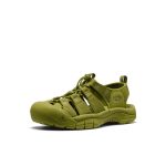 Men's Newport H2 Sandal  |  Monochrome/Golden Cyprus