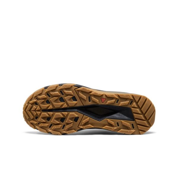 Men's Targhee Apex Waterproof Hiking Shoe  |  Brindle/Canteen