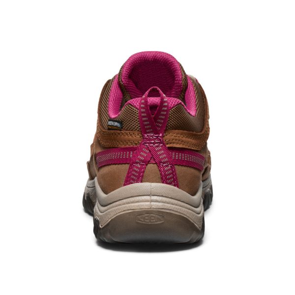 Women's Targhee IV Waterproof Hiking Shoe | Bison/Beaujolais