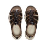 Men's Newport H2 Sandal  |  Java/Golden Yellow