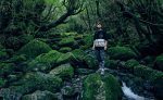 Men's UNEEK Sneaker x ELNEST | Yakushima Forestra Camo