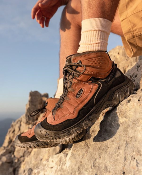 Men's Targhee IV Wide Waterproof Hiking Boot  |  Bison/Black