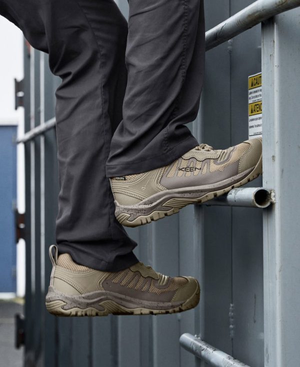 Men's Reno Waterproof (Carbon Toe)  |  Brindle/Morel
