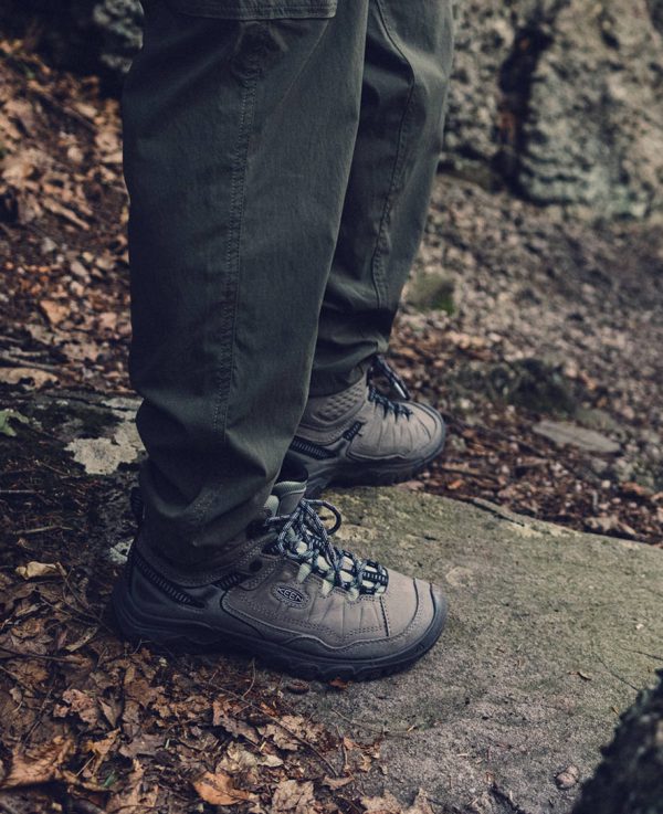 Women's Targhee IV Waterproof Hiking Boot  |  Steel Grey/Lily Pad