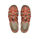 Men's Clearwater CNX  |  Burnt Brick/Safari