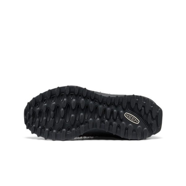 Women's Jasper Zionic Sneaker  |  Java/Black
