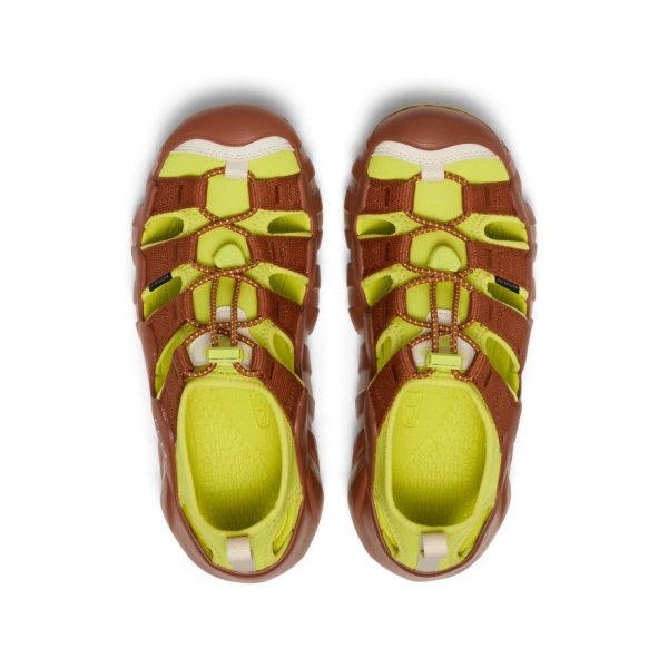 Women's Hyperport H2 Sandal x Hiking Patrol | Algae Green