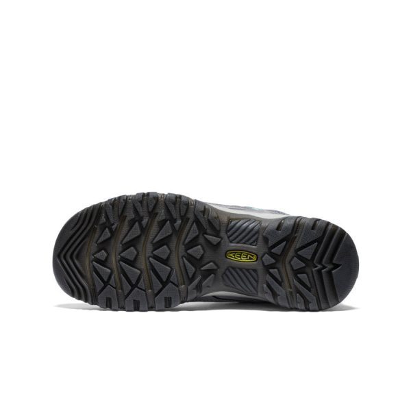 Women's Targhee IV Wide Waterproof Hiking Shoe | Alloy/Granite Green