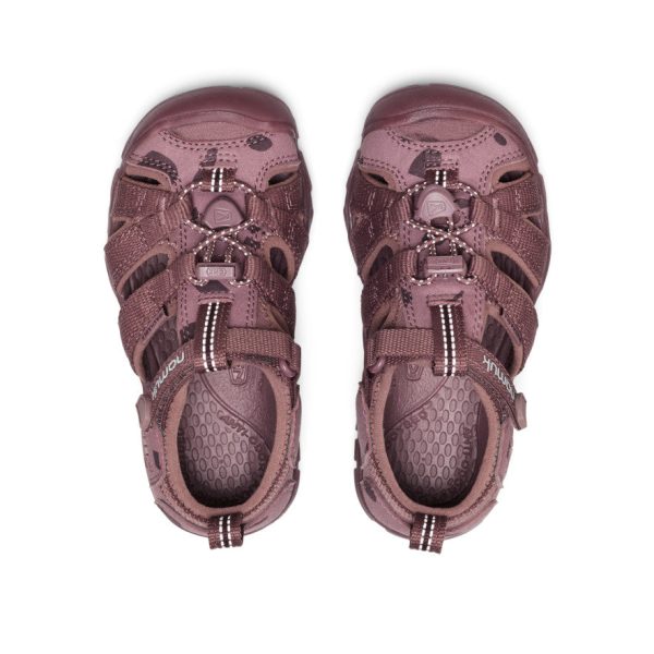 Little Kids' Seacamp II CNX namuk Sandal | Mauve