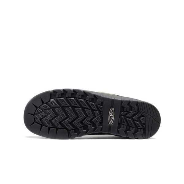 Men's Jasper Rocks Sneaker  |  Black/Bronze Brown