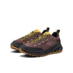 Men's Jasper Zionic Sneaker  |  Java/Cream Gold