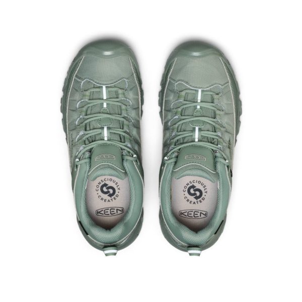 Women's Targhee EXP Waterproof Hiking Shoe | Lily Pad/Lily Pad