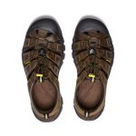 Men's Newport Leather Sandal Wide  |  Bison