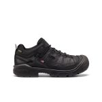 Men's Targhee IV Waterproof Work Shoe (Soft Toe)  |  Black/Black