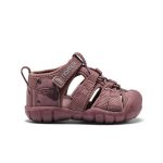Toddlers' Seacamp II CNX namuk Sandal | Mauve