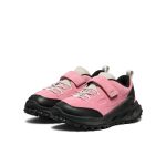 Little Kids' Jasper Zionic Sneaker | Cashmere Rose/Giggle Pink
