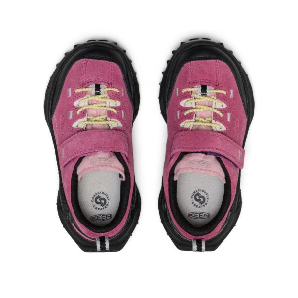 Little Kids' Jasper Zionic Sneaker  |  Violet Quartz Velour