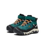 Little Kids' Targhee IV Waterproof Hiking Boot | Mediterranea/Flame Orange