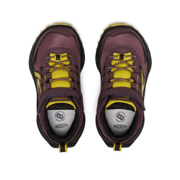 Little Kids' Zionic Waterproof Hiker  |  Huckleberry/Mango Mint