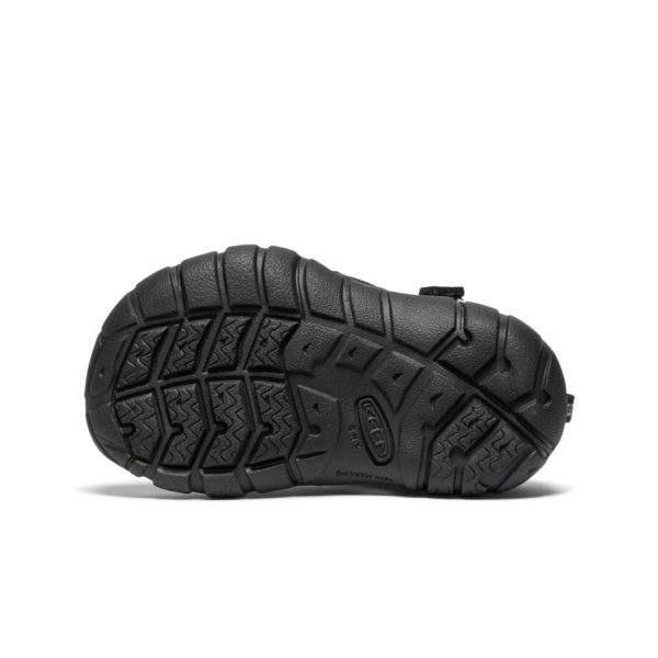 Toddlers' Seacamp II CNX | Black/Grey