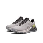 Men's Targhee Apex Waterproof Hiking Shoe | Alloy/Evening Primrose