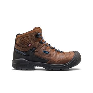 Men's Targhee IV LTR Waterproof Work Boot (Carbon Toe)  |  Bison/Black