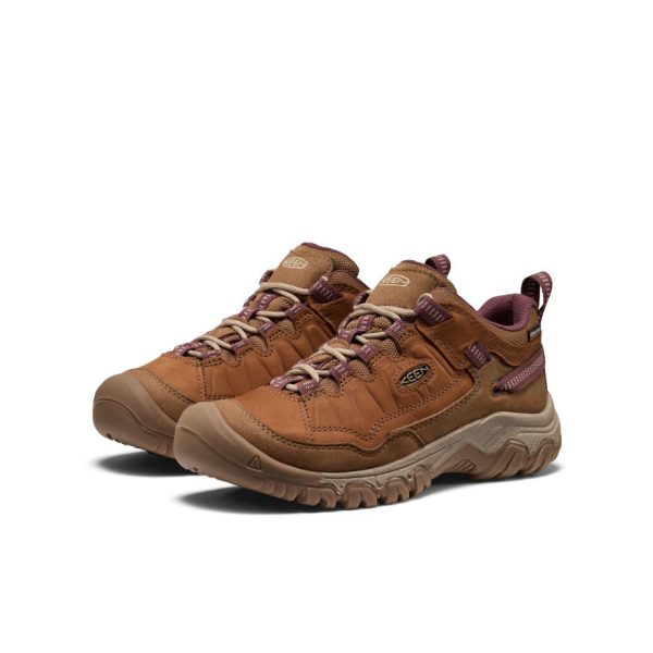 Women's Targhee IV Waterproof Hiking Shoe  |  Bison/Huckleberry