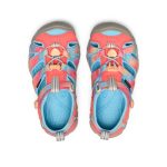 Little Kids' Seacamp II CNX | Ombre Pink Lemonade