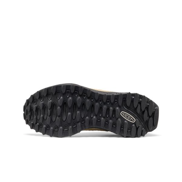 Men's Jasper Zionic Sneaker | Khaki/Huckleberry
