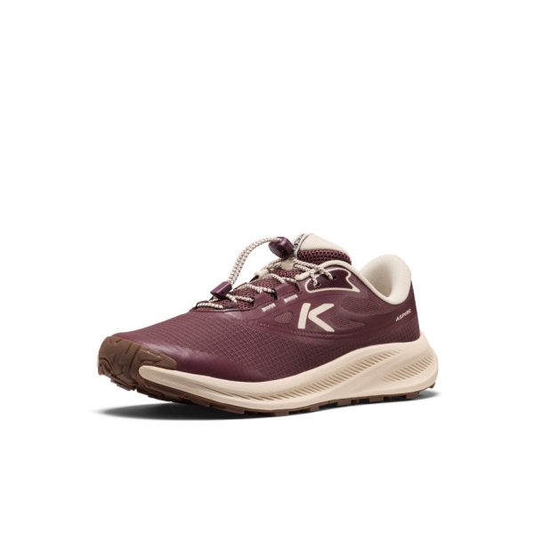 Women's Aspire Shoe  |  Huckleberry/Birch