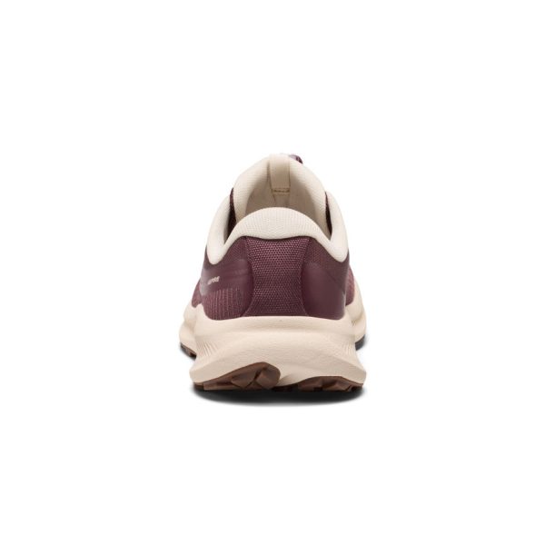 Women's Aspire Shoe  |  Huckleberry/Birch