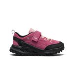 Little Kids' Jasper Zionic Sneaker  |  Violet Quartz Velour