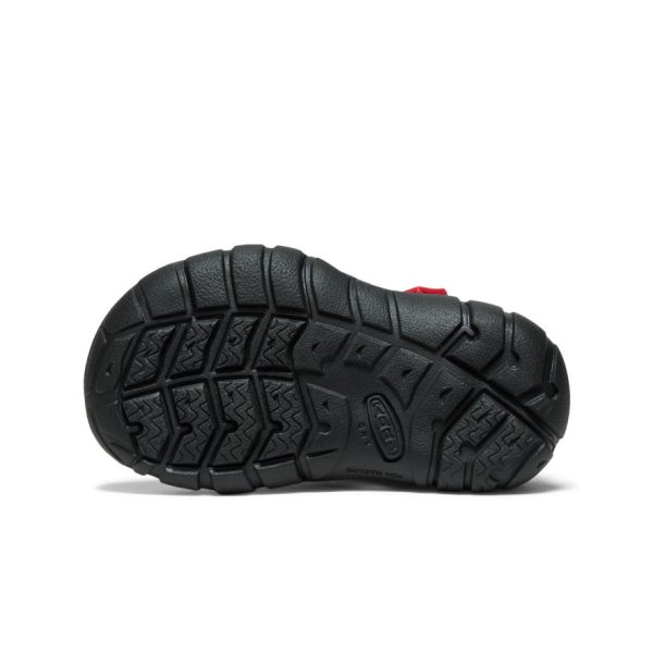 Toddlers' Seacamp II CNX  |  Magnet/Red Carpet