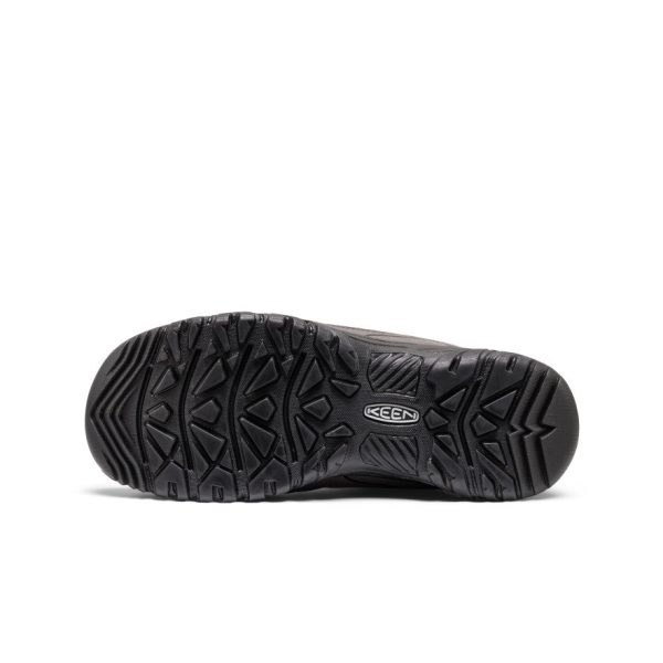 Men's Targhee IV Waterproof Hiking Shoe | Magnet/Black