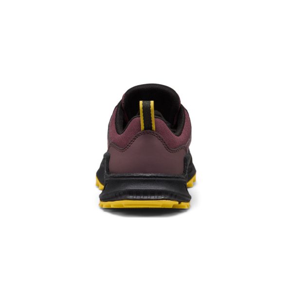 Big Kids' Zionic Waterproof Shoe  |  Huckleberry/Black